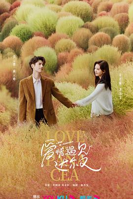 南山优化网站建设方案